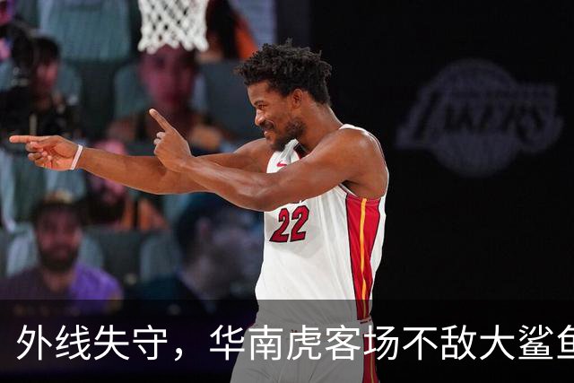 外线失守，华南虎客场不敌大鲨鱼